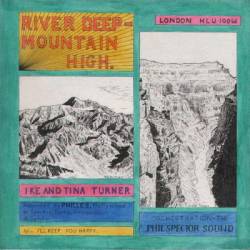 Tina Turner : River Deep - Mountain High
